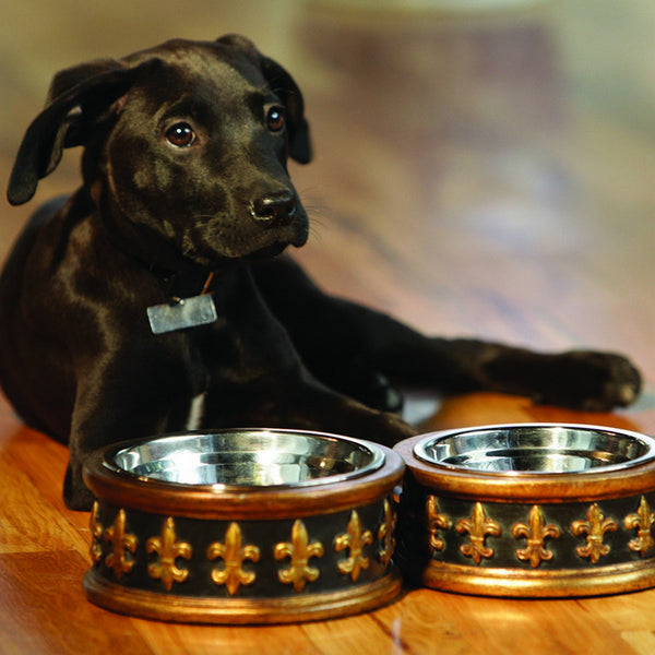 Unleashed store dog bowls