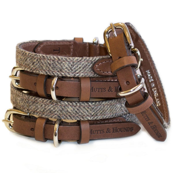 Herringbone dog collar best sale